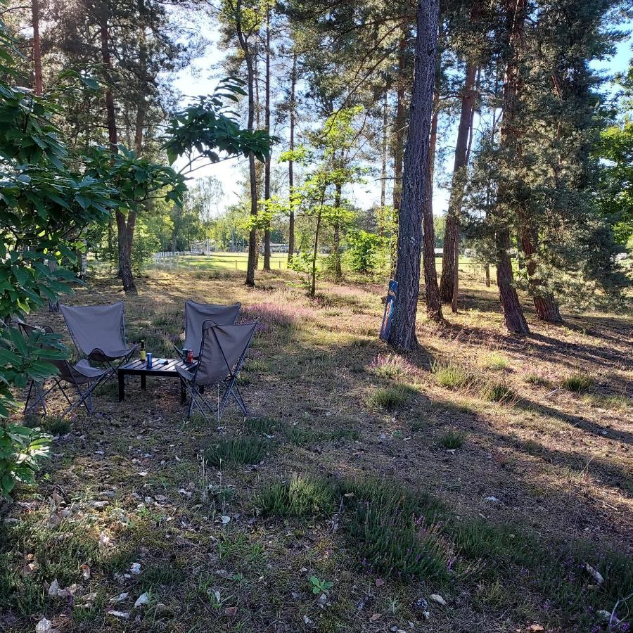 Camping Onlycamp Les Pins Nancay Exterior foto